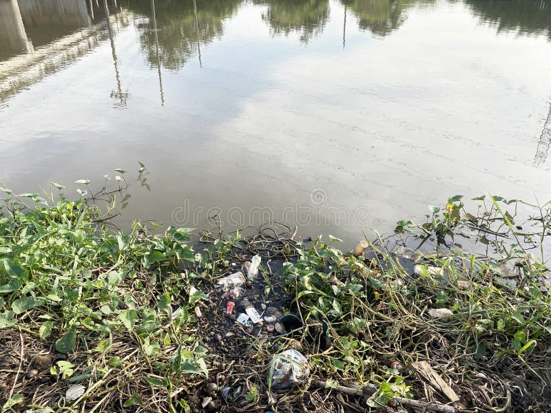 Lot of Different Types of Waste in the Ground Stock Photo Image of