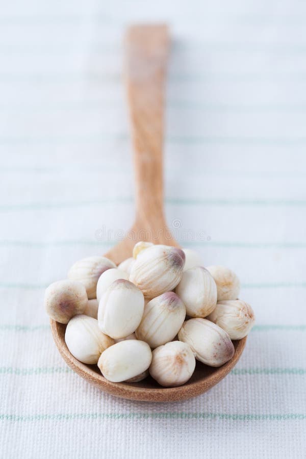 Close up lotus seed on wooden spoon