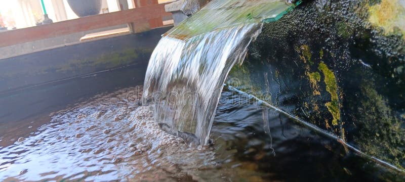A close-up, low-angle shot of a small, man-made waterfall. Clear water flows over a dark, algae-covered surface and creates gentle ripples and foam as it enters a pond or reservoir. The sunlight catches the water, creating a sparkling effect. This image is great for themes of water features, peaceful environments, koi ponds, and garden design. Man made waterfall stock images, royalty-free photos and pictures