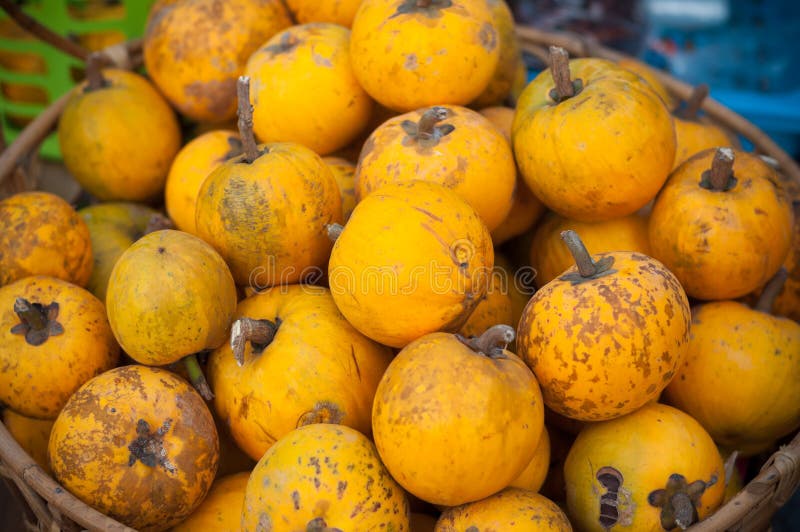 Close up Lucuma ripe yellow group on basket market street fruit, Pouteria campechiana Kunth Baehni. Close up Lucuma ripe, yellow group on basket ,market street stock photos