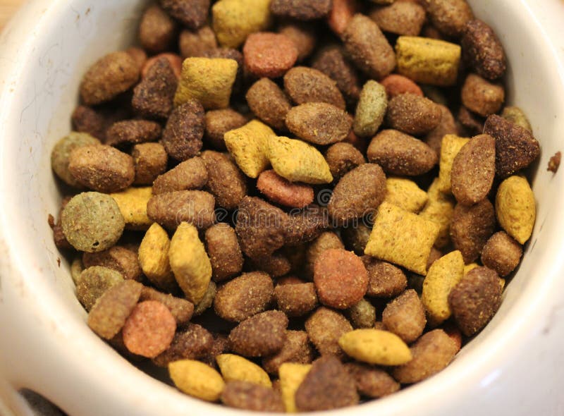 Dry cat food in bowl on wooden background, Pet food on wood surface. stock photos Dry cat food in bowl on wooden background, Pet food on wood surface. stock photos
