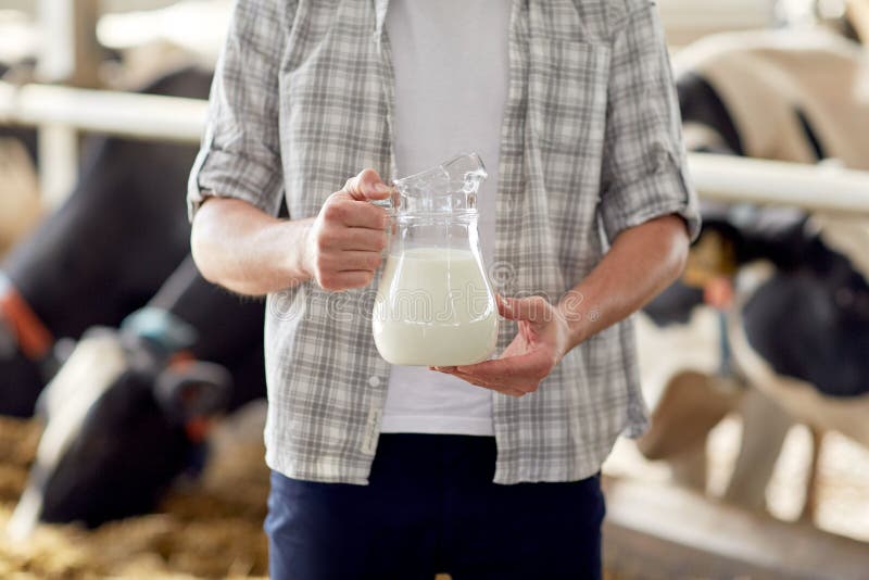 Close Up Of Man Or Farmer With Milk On Dairy Farm Stock Photo - Image 