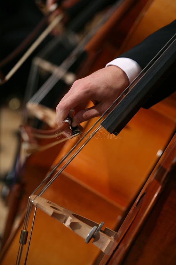 Close-up of a Man Playing Cello royalty free stock images