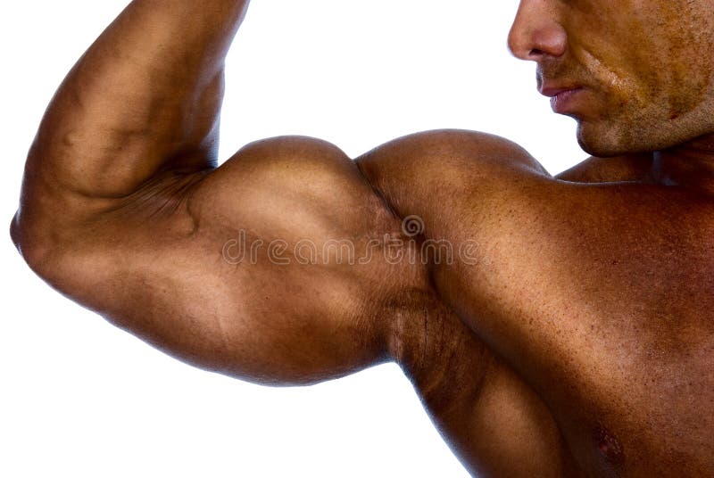 https://thumbs.dreamstime.com/b/close-up-man-s-arm-showing-biceps-27909697.jpg