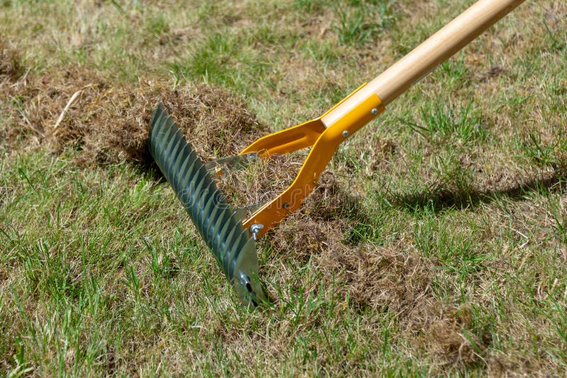 Close up on manual lawn scarifier in a garden