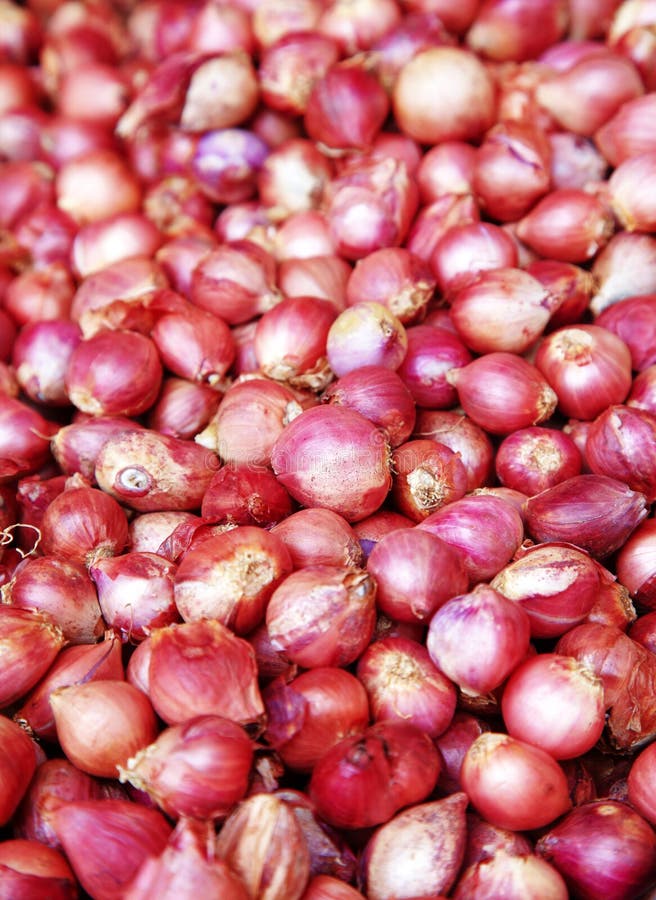 Many onion leave stock photo. Image of plant, diet, healthy 40893754