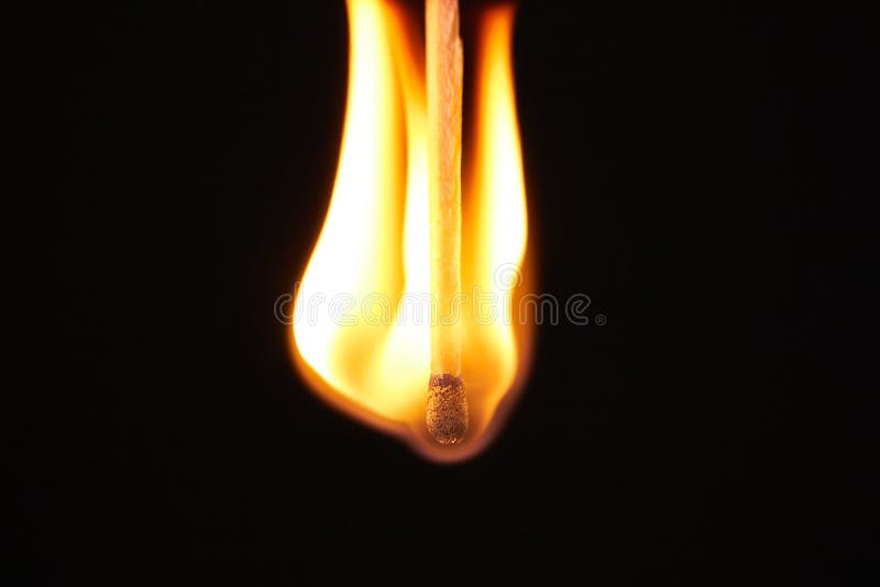 Close-up of a match being consumed by fire.