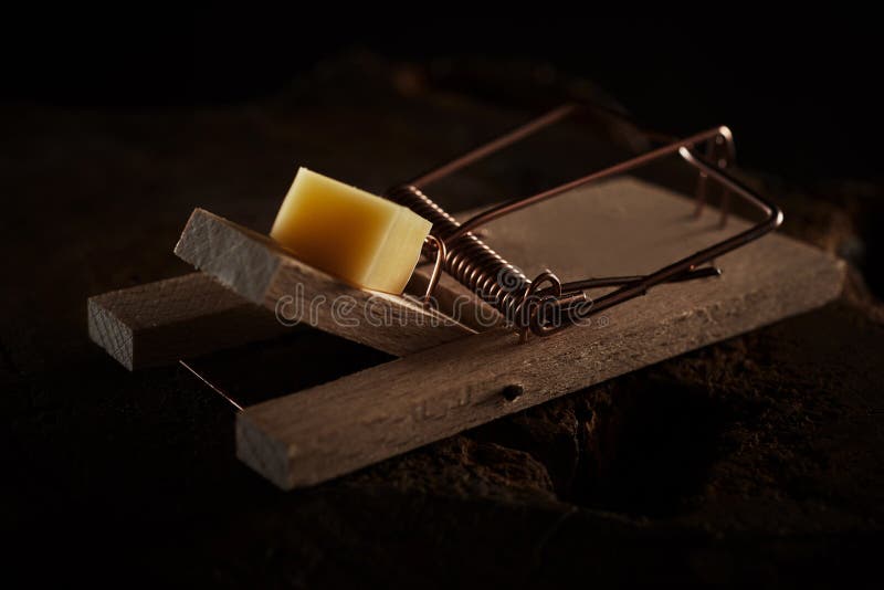 Close up of a mouse trap baited with cheese