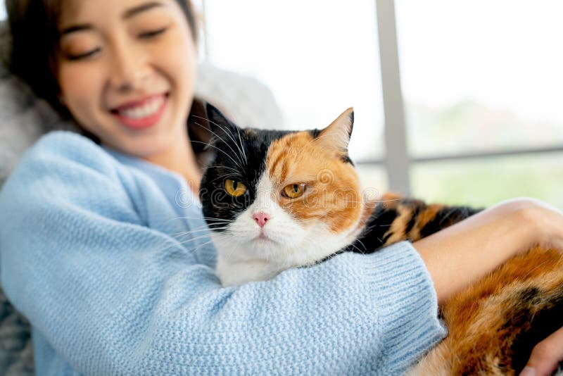 Reasons Your Cat Lies on Your Chest That Might Surprise You