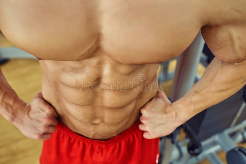 Closeup of Muscle on Belly of a Bodybuilder in the Gym Stock Image Image of torso, posing