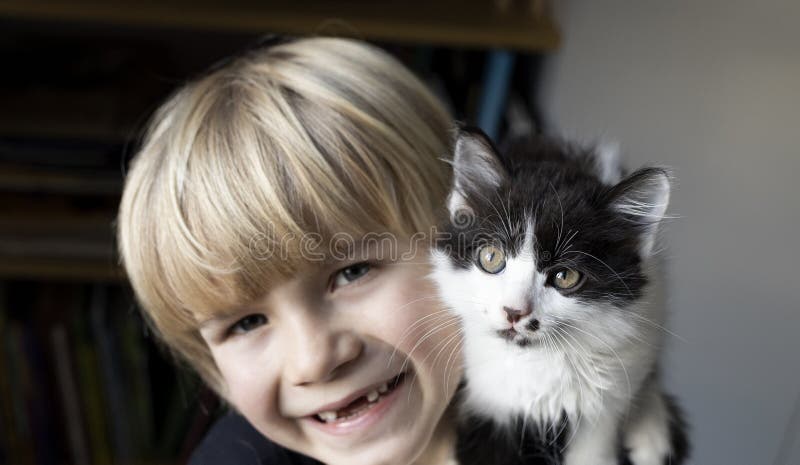 close-up of the muzzle of a black and white kitten with big curious eyes and the face of a smiling boy in defocus