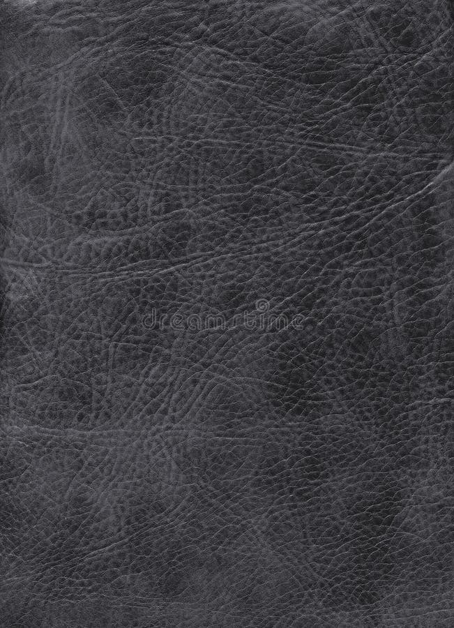 Close-up natural black leather royalty free stock photography