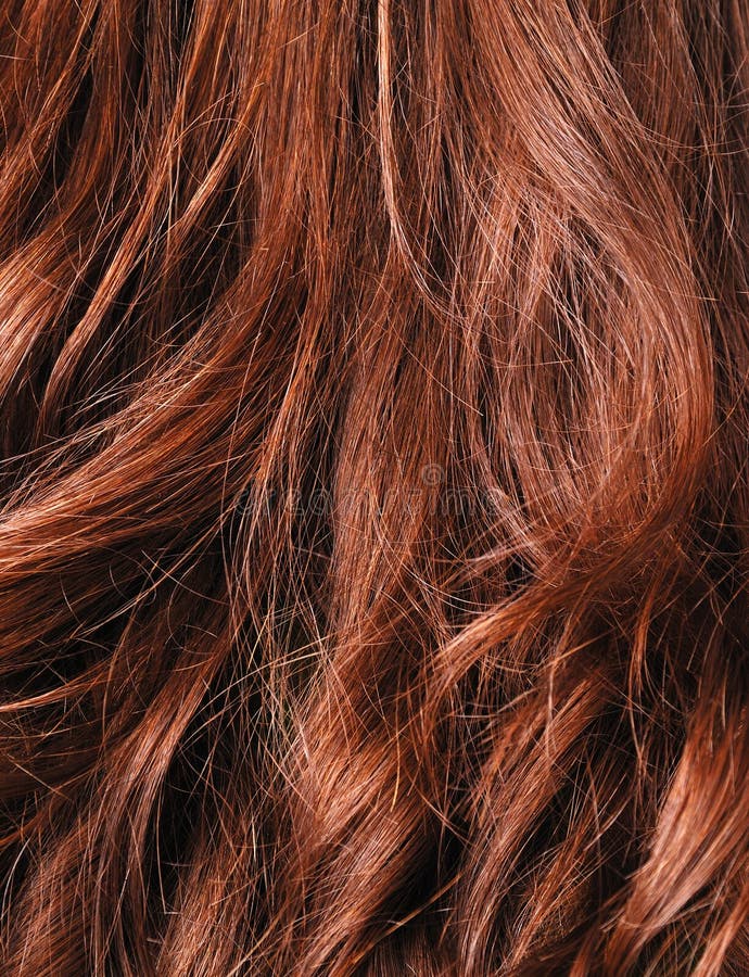 Closeup of natural hair stock photo. Image of growth 15517876