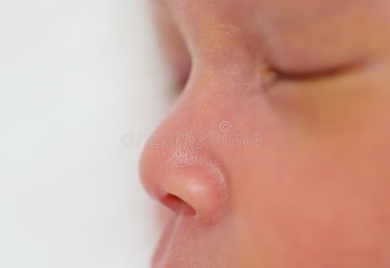 Close up nose of baby stock