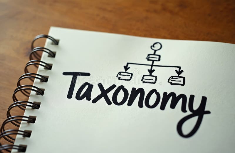 Close up of a notebook page with the word taxonomy written in bold letters. A simple diagram shows hierarchy and structure. vector illustration