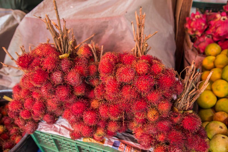 Rambutan Or Red Hairy Lychee Fruit Stock Image Image Of Health
