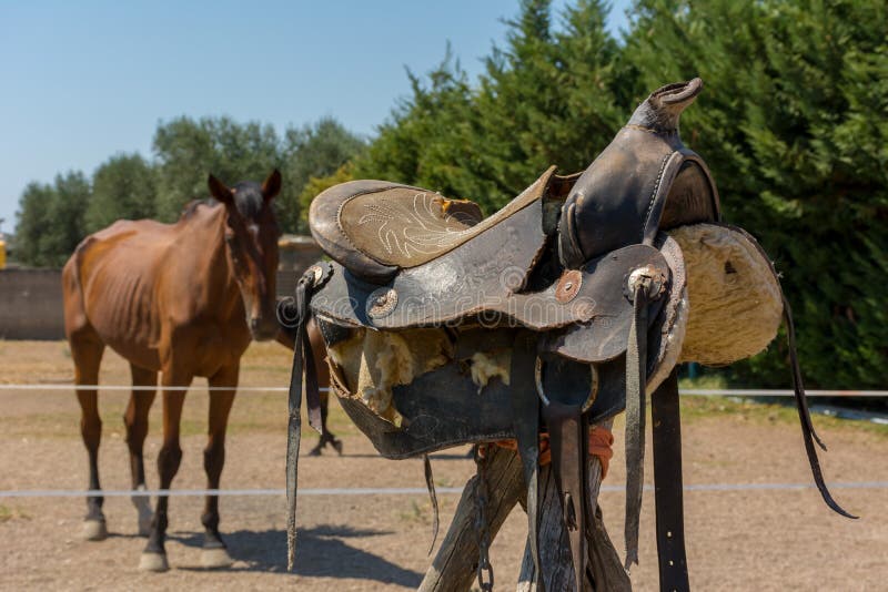 Close Up of Old Saddle on Blur Background in a Sunny Day stock images Close Up of Old Saddle on Blur Background in a Sunny Day stock images
