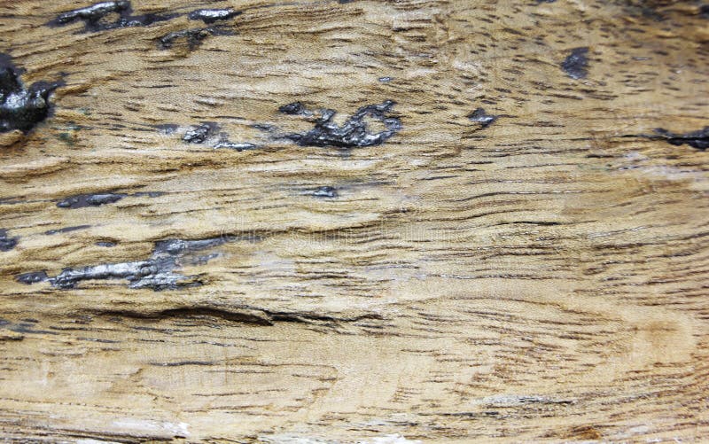 Closeup of Old Teak Wood Patterns Texture Background Stock Image