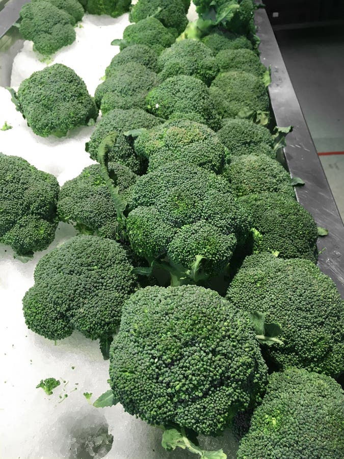 Close Up Organic Chinese Broccoli in Supermarket Stock Photo Image of