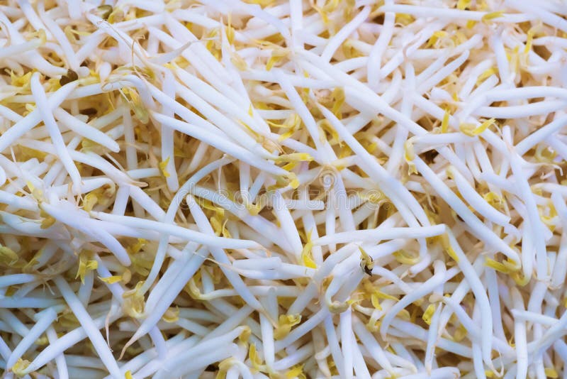 Close up Organic mung bean sprout for food, thai street food market.