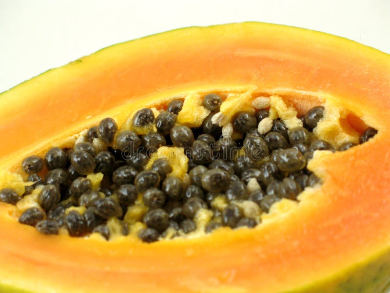 Closeup of Papaya Seeds on White Stock Photo Image of grain, white
