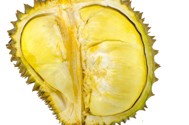 Close up of peeled durian isolated on white background stock photos