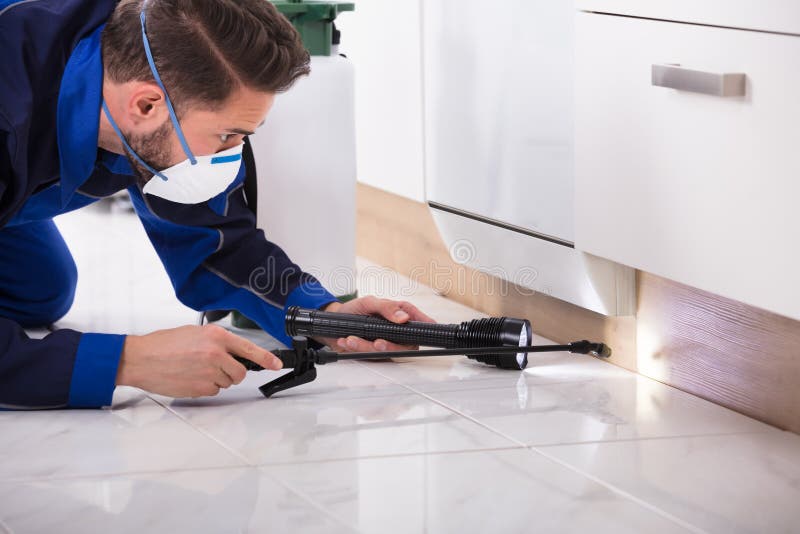 Pest Control Worker Spraying Pesticide On Wooden Cabinet stock photo Pest Control Worker Spraying Pesticide On Wooden Cabinet stock photo