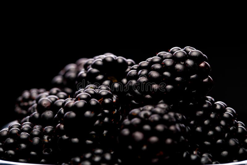 Close Up Photo of Blackberry on Empty Black Background. Stock Photo