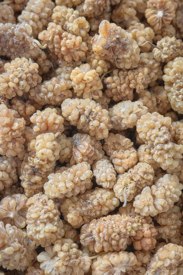 Close up photo of dried white mulberry, selective focus royalty free stock photos