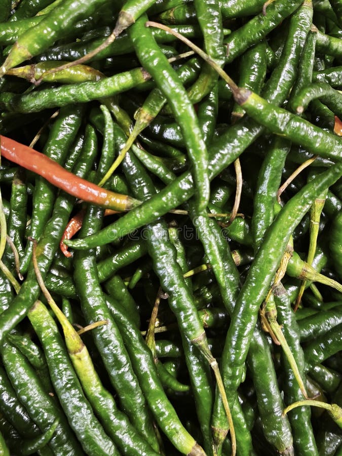 Close up photo of green chili stock photo