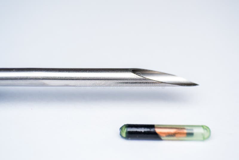 Close-up photo of a microchip for pets royalty free stock images