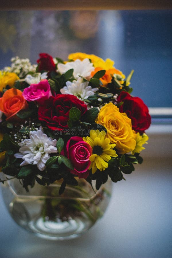 Close Up Photography Of Multi Petaled Plants In Clear Glass Vase Free Public Domain Cc0 Image