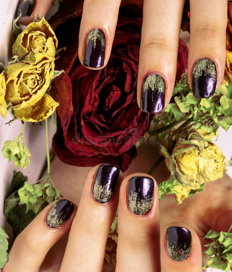 Elegant nail design stock image. Image of manicure, petals - 6562253