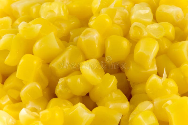 Close-up picture of some juicy sweetcorn