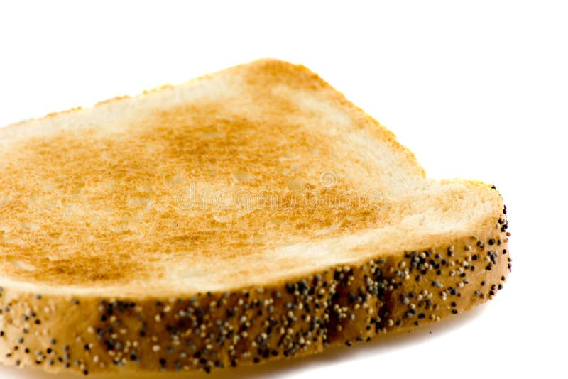 Close-up picture of a toasted bread isolated