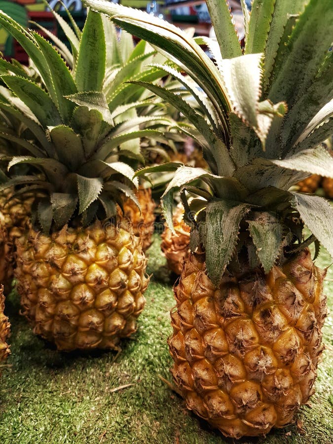 Pineapple on Display in Rarotonga Market Cook Islands Stock Image