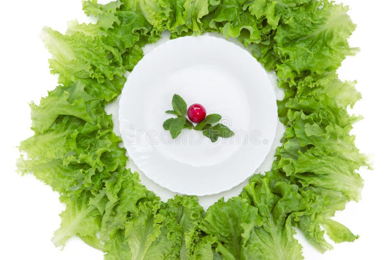 Close up of plate with radish and lettuce around