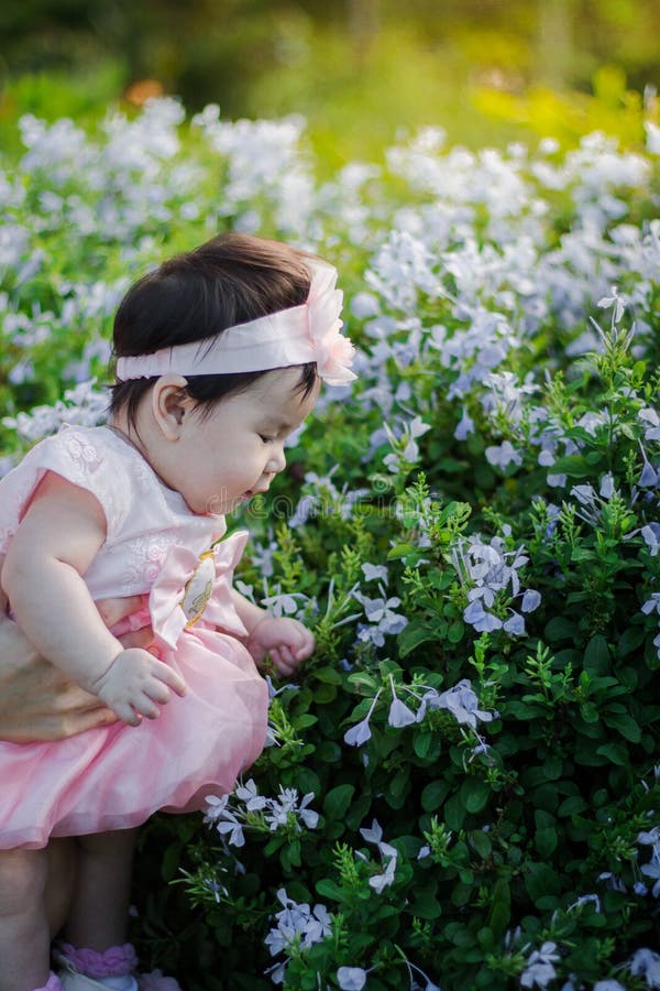 Close Up Portrait Asian Cute Baby Girl 4 Month-old Stock Image - Image ...