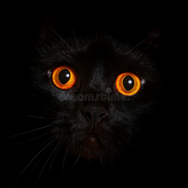 My Image 12