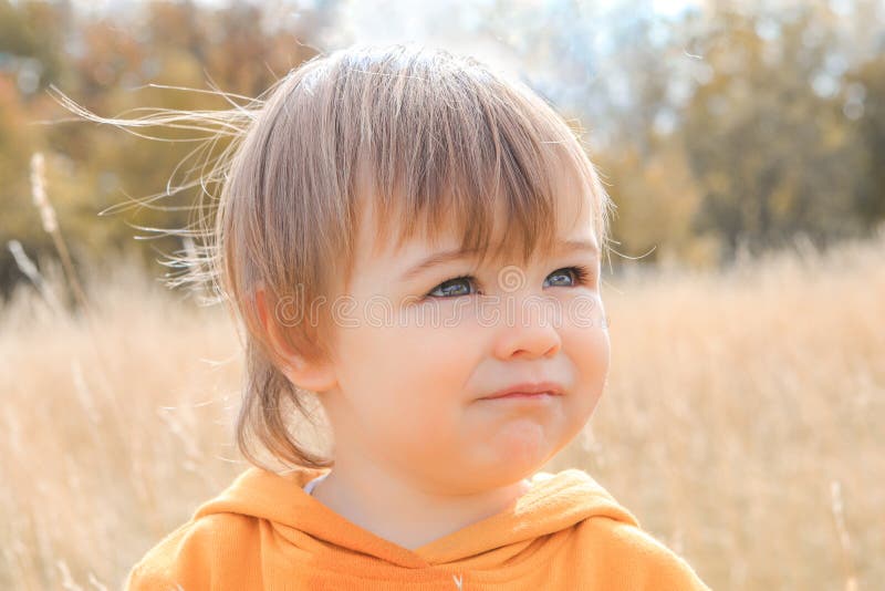 Close up portrait of cute little thoughtful baby boy gazing into the distance in autumn field.