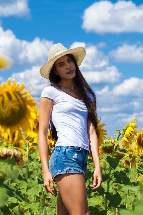 Portrait of a young beautiful girl in a field of sunflowers royalty free stock image Portrait of a young beautiful girl in a field of sunflowers royalty free stock image