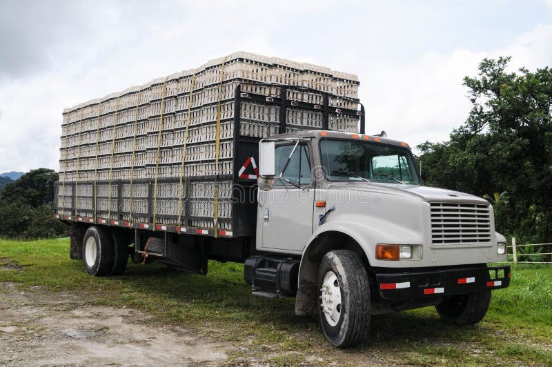 Close up of a truck with chicken coops on it