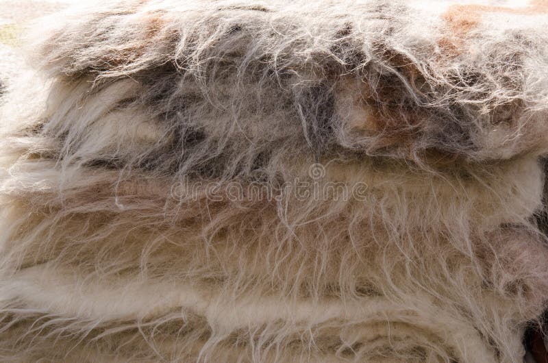 1,471 Sheep Wool Blanket Stock Photos - Free & Royalty-Free Stock Photos from Dreamstime 1,471 Sheep Wool Blanket Stock Photos - Free & Royalty-Free Stock Photos from Dreamstime