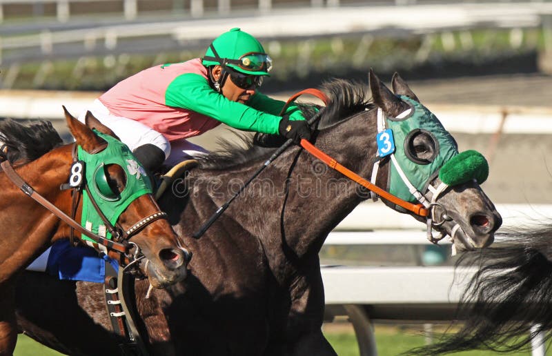 ARCADIA, CA - 10 FEB: Jockey Julio Garcia guides Megillah, a 4 year-old grey roan thoroughbred to victory in the 4th race at Santa Anita Park on Feb 10, 2010 in Arcadia, CA. ARCADIA, CA - 10 FEB: Jockey Julio Garcia guides Megillah, a 4 year-old grey roan thoroughbred to victory in the 4th race at Santa Anita Park on Feb 10, 2010 in Arcadia, CA.