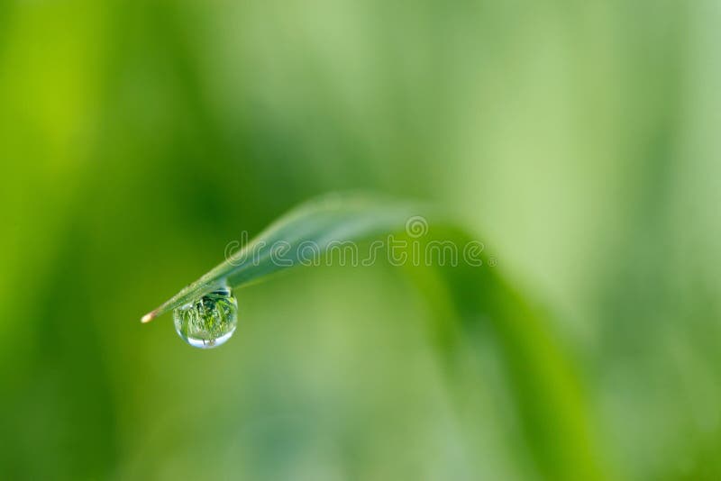 Close-up rain drop