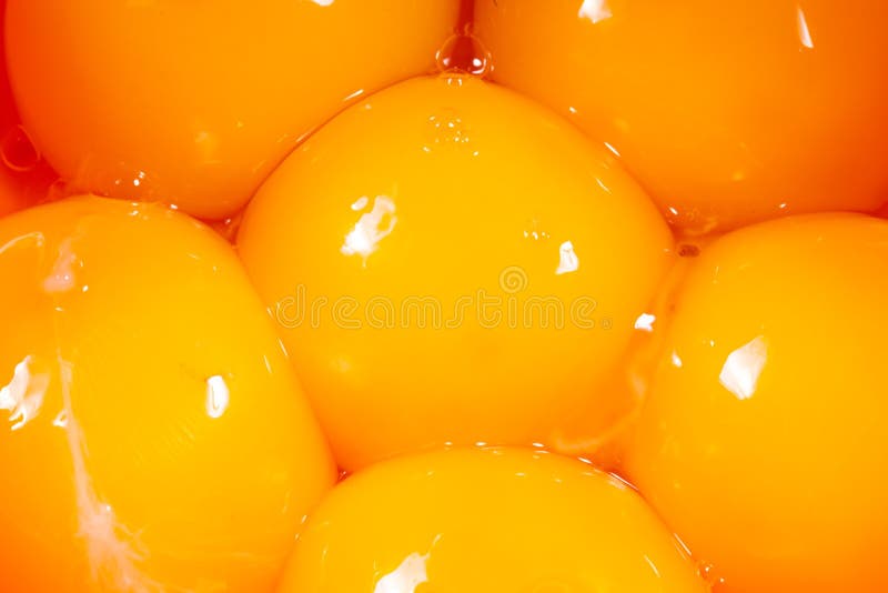 Closeup of Raw Egg Yolks on a Plate Stock Image Image of nutrition