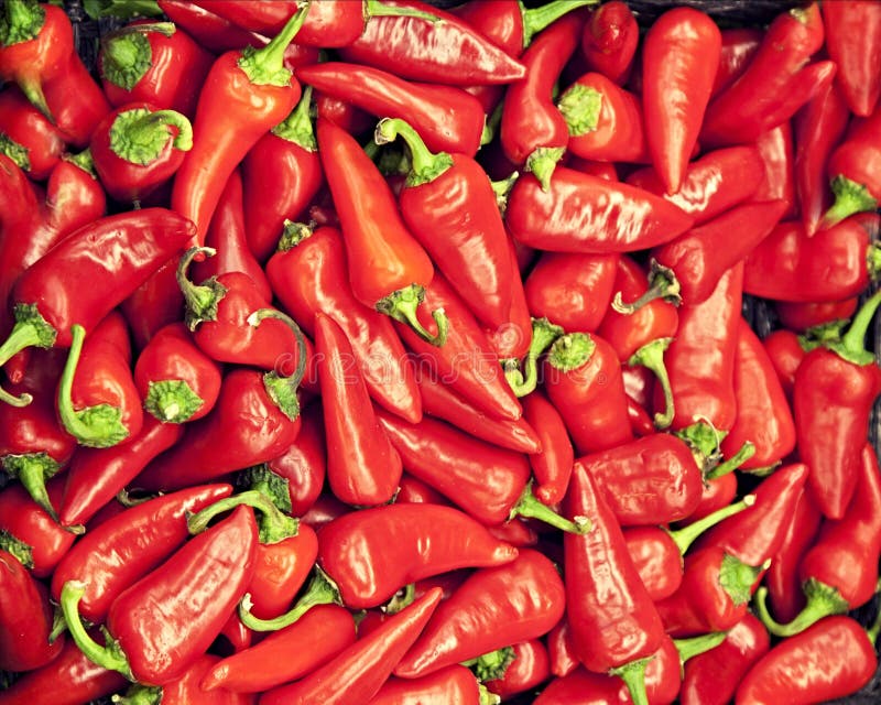 Close-up of red chili peppers royalty free stock photos