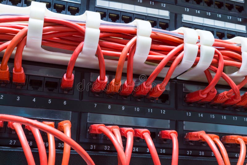 Close up of red network cables connected to switch stock images
