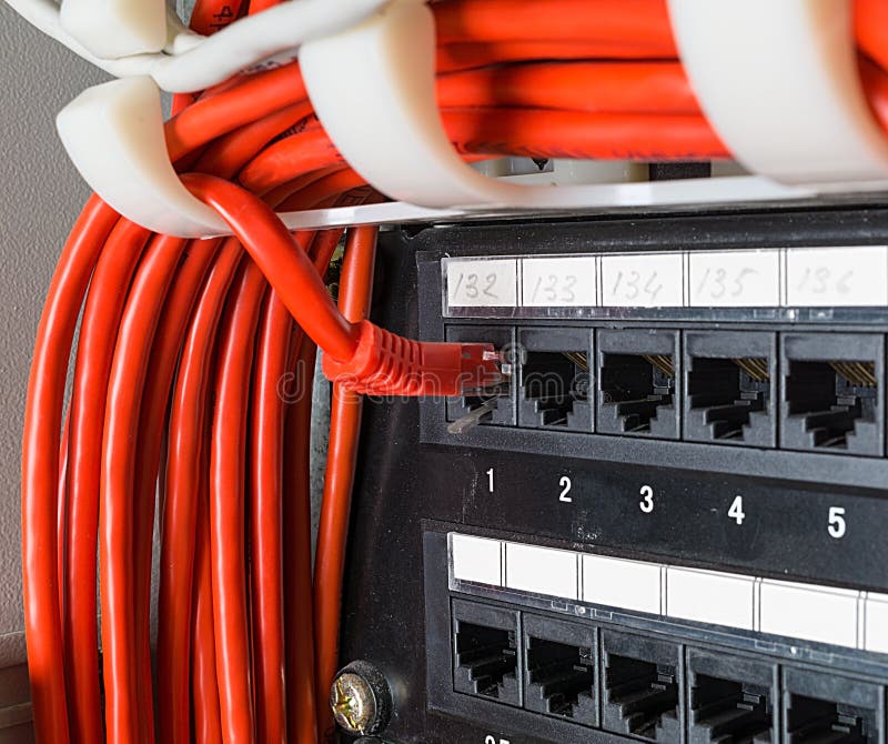 Close up of red network cables connected to switch royalty free stock images