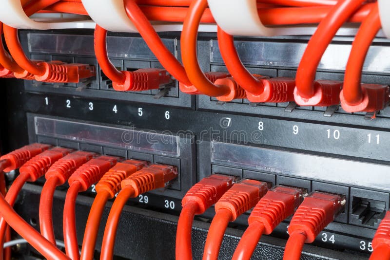 Close up of red network cables connected to switch stock image